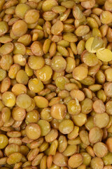 A close-up, full-frame shot shows a dense, glossy texture of green lentils soaking in water