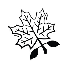 Autumn maple leaf symbol for fall season and Halloween decorations