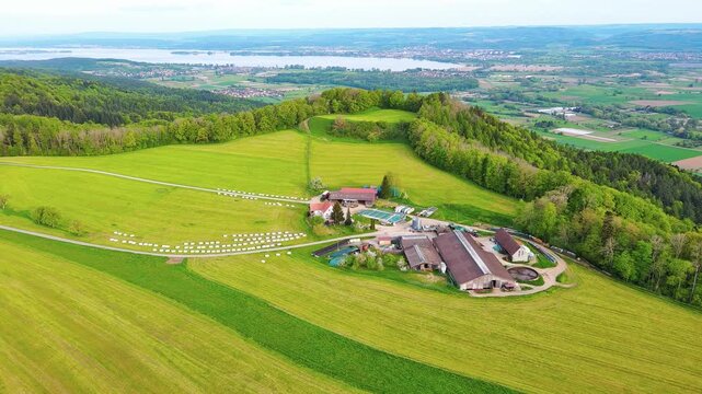 A farm stands on a hill with crop fields, white bales of hay and pastures surrounded by forest