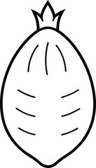 Simple Black and White Outline Drawing of a Pomegranate Fruit