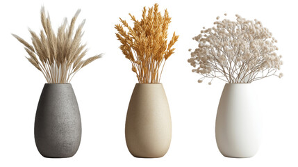 3 Decorative Vases (Each with Dried Botanical Bouquets) �C Elegant Natural Display, Suitable for Home Decor, PNG, no background