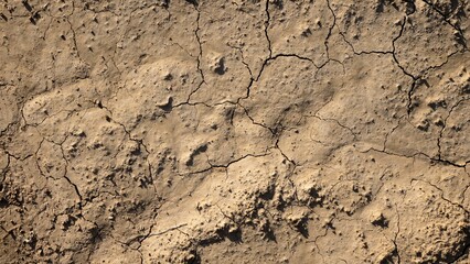 texture of old stone