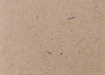 texture of the sand