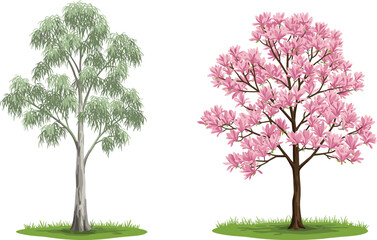 Obraz premium Two contrasting seasonal trees on white background—green eucalyptus and pink blossom tree illustration for nature, botany, spring, summer, and design.