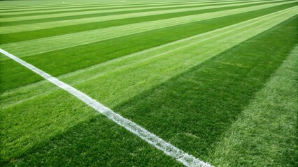 Obraz premium Football ground