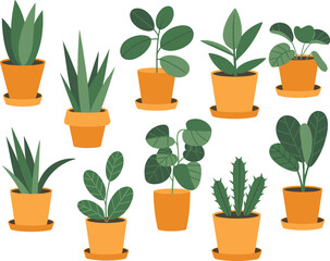 Cartoon potted houseplants illustration, indoor plant collection, terracotta pots, greenery decor, flat vector style, botanical home garden graphic