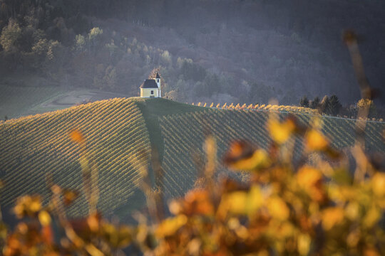 View of a lone chapel atop rolling vineyard hills bathed in warm light, with autumnal leaves framing the scene, Gamlitz, Styria, Austria.