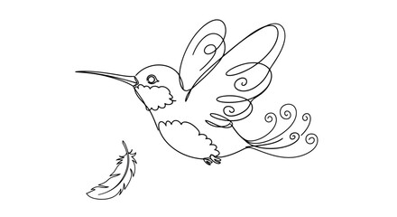 Fototapeta premium Hummingbird line art illustration simple vector drawing of a bird in flight isolated on white backgr