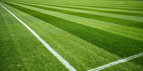 Obraz premium Football ground