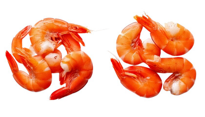 Fresh shrimp and prawn variations collection, isolated on transparent background
