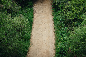 Top down aerial view of a dirt path winding through a lush green forest in summer.