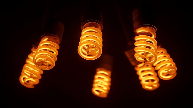 Group of glowing spiral light bulbs in the dark.