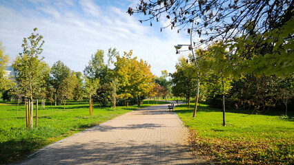 autumn in the Novi Sad