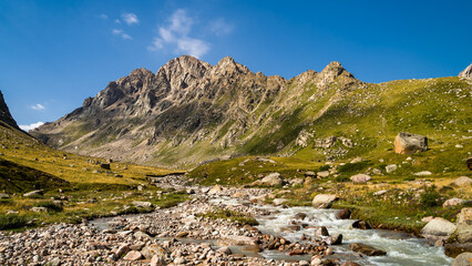 summer in the mountains. a beautiful mountain gorge