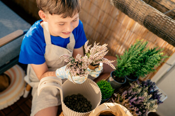 Boy planting balcony flowers in early autumn. Plant seedlings.
