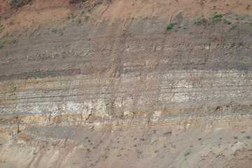 background is fallen autumn leaves, the seasonal backdrop of October fall
