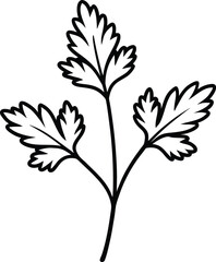 Simple Black and White Line Art Illustration of a Parsley Sprig