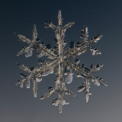 photo snowflake macro water crystals, winter symbol for design