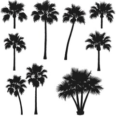 Fototapeta premium Palm Silhouette Symphony