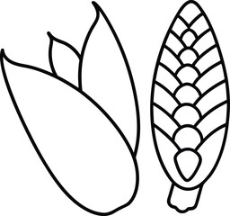 Simple Line Art Illustration of Two Ginger Flowers or Buds on a White Background