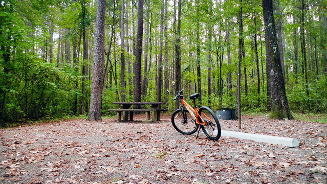 Fuji Mountain Bike at a national forest at a campsite with picnic table