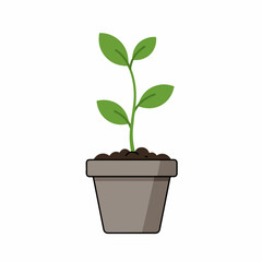 Flat Style Detailed Sprout in Pot Illustration Growth Concept