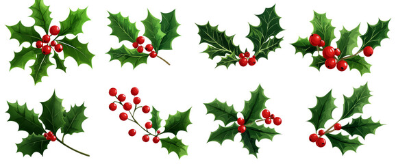  christmas holly leaves and berries set, isolated on a transparent background.