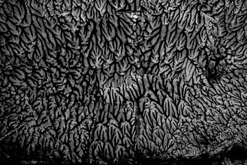 Black and white texture abstract background paint, shapes of branches or cracks on the surface to...