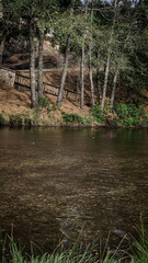 Rebelos river beach in Murça, Tras-os-Montes, Portugal, by a Tua tributary. Riverside woodland, rustic fence, and natural setting offer a tranquil landscape for recreation and relaxation.