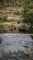 Natural river landscape at Praia Fluvial Rebelos, Murça, Trás-os-Montes, Portugal. A tributary of the Tua flows calmly past green banks and tall trees, ideal for outdoor relaxation and leisure.