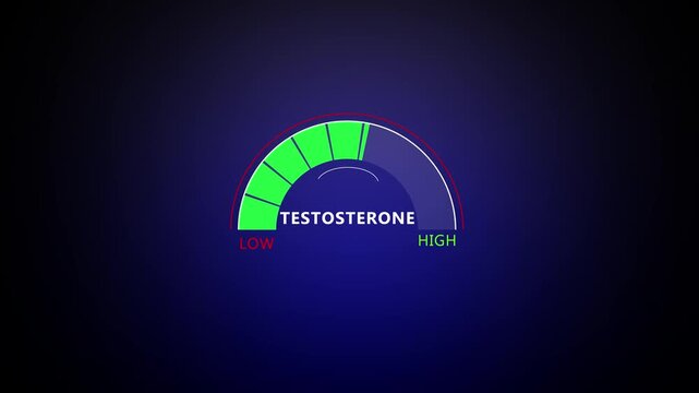 Testosterone level metering. Animated testosterone level meter decreasing from Low to Normal level for concepts related to low testosterone. 