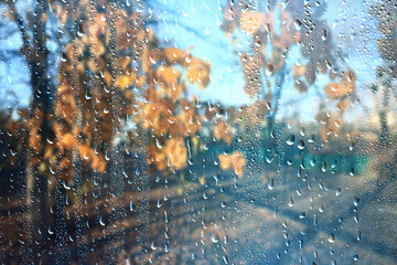 raindrops on glass blurred autumn background trees in the park, seasonal backdrop rainy weather