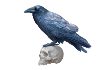 A striking blue-black raven perches ominously on a weathered human skull, depicted in intricate detail, evoking themes of mortality and wisdom. background removed
