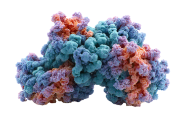 A complex, colorful molecular structure, likely a protein or macromolecular assembly, rendered in intricate detail with blue, purple, and orange components on a solid background. background removed