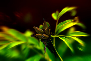 Abstraktes dynamisches futuristisches digitales Kunstwerk ohne Mithilfe von 