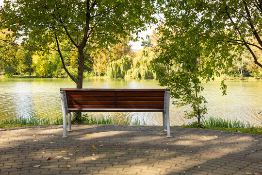 Empty wooden bench on paved path under green trees by lake in city park.