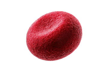 Highly magnified 3D rendering of a human red blood cell, revealing its characteristic biconcave shape and intricate surface texture. background removed