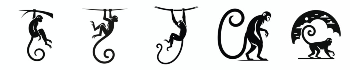 black and white silhouette vector of a long-tailed monkey © Andi