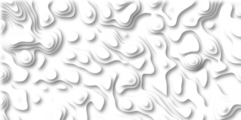Clean White Abstract Topographic Paper Cutout Background with Soft Shadows and Organic Layering Keywords: abstract, background, topographic, paper cutout, layered, white, clean, minimalist, organic
