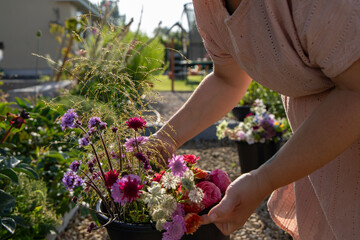 Fototapeta premium Flower farmer working