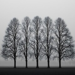 Winter's Silent Quartet