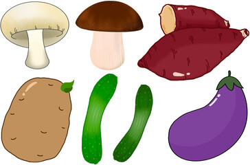 vegetables and fruits