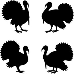 Obraz premium Turkey Silhouette Collection 