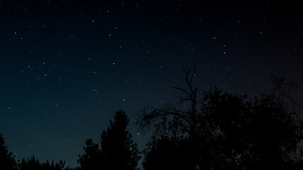 Fototapeta premium starry night sky