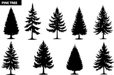 Set of Pine Tree Silhouette Vectors Bundle