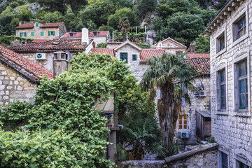 Old buildings seen from ramparts of historic part of Kotor town, Montenegro