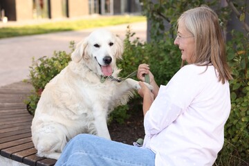 Adorable Golden Retriever dog giving paw to owner on bench outdoors