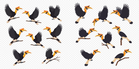 Illustration of several hornbills perched on branches and in flight.