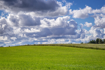 Fields and meadows near Ketrzyn town, Masuria region of Poland