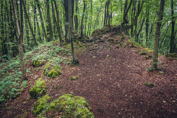 Barely visible remains of Ostreznik Castle in Polish Jurassic Highland, Silesia region in Poland